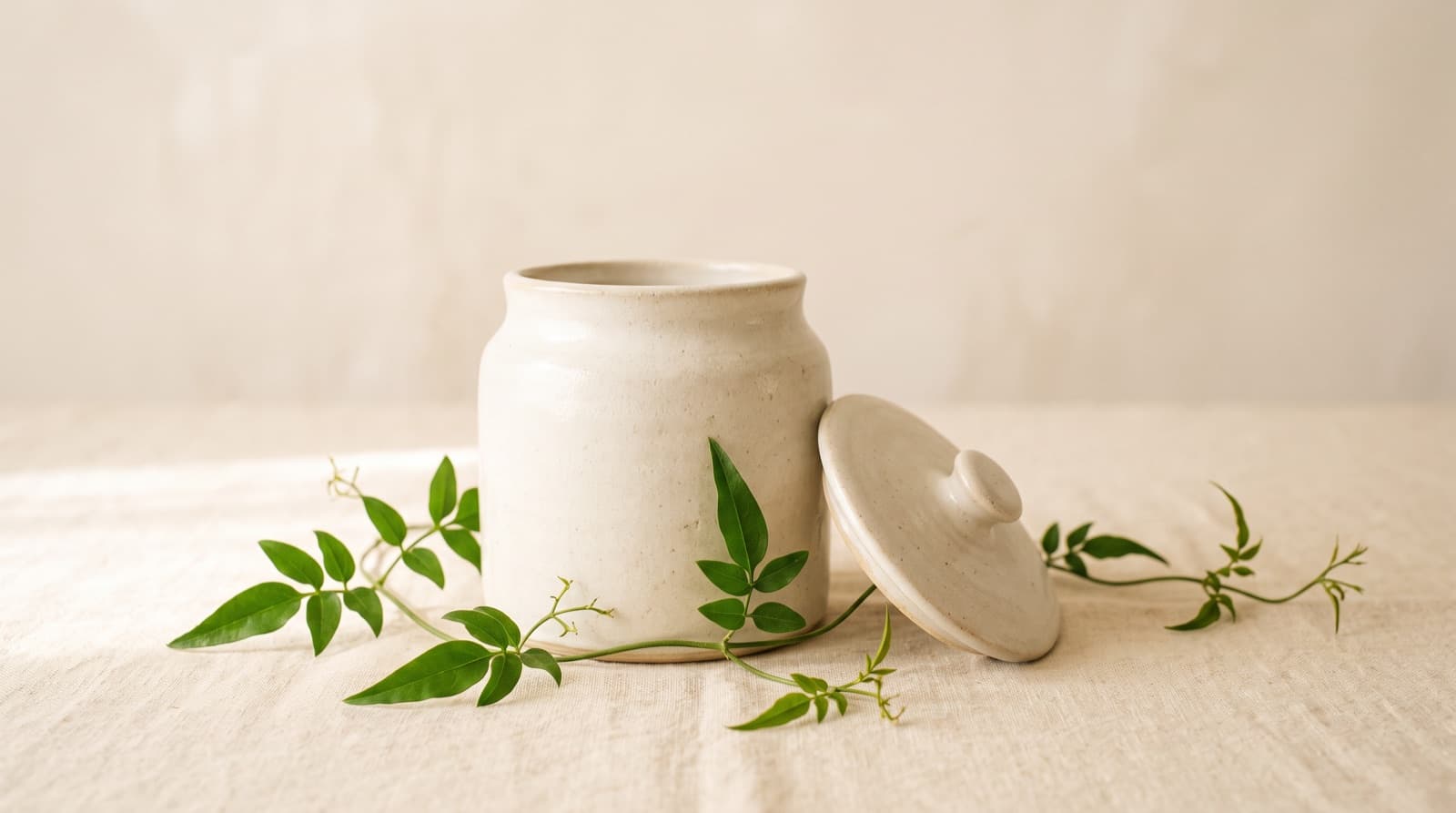 A ceramic jar and green plant on a pale surface
